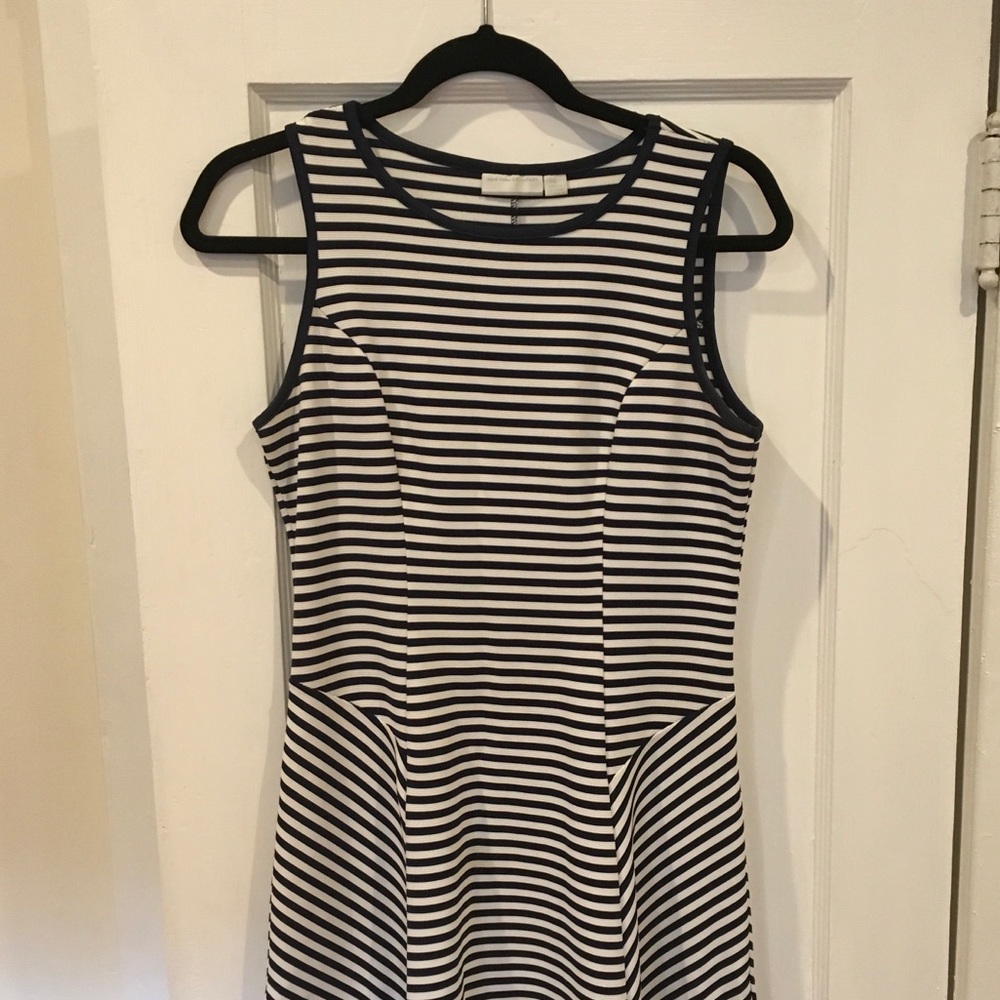 New York & Company Navy and White Dress